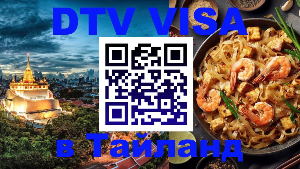 Оформление DTV визы под ключ: стоимость и тарифы, только загранпаспорт - 11.01.2026 
